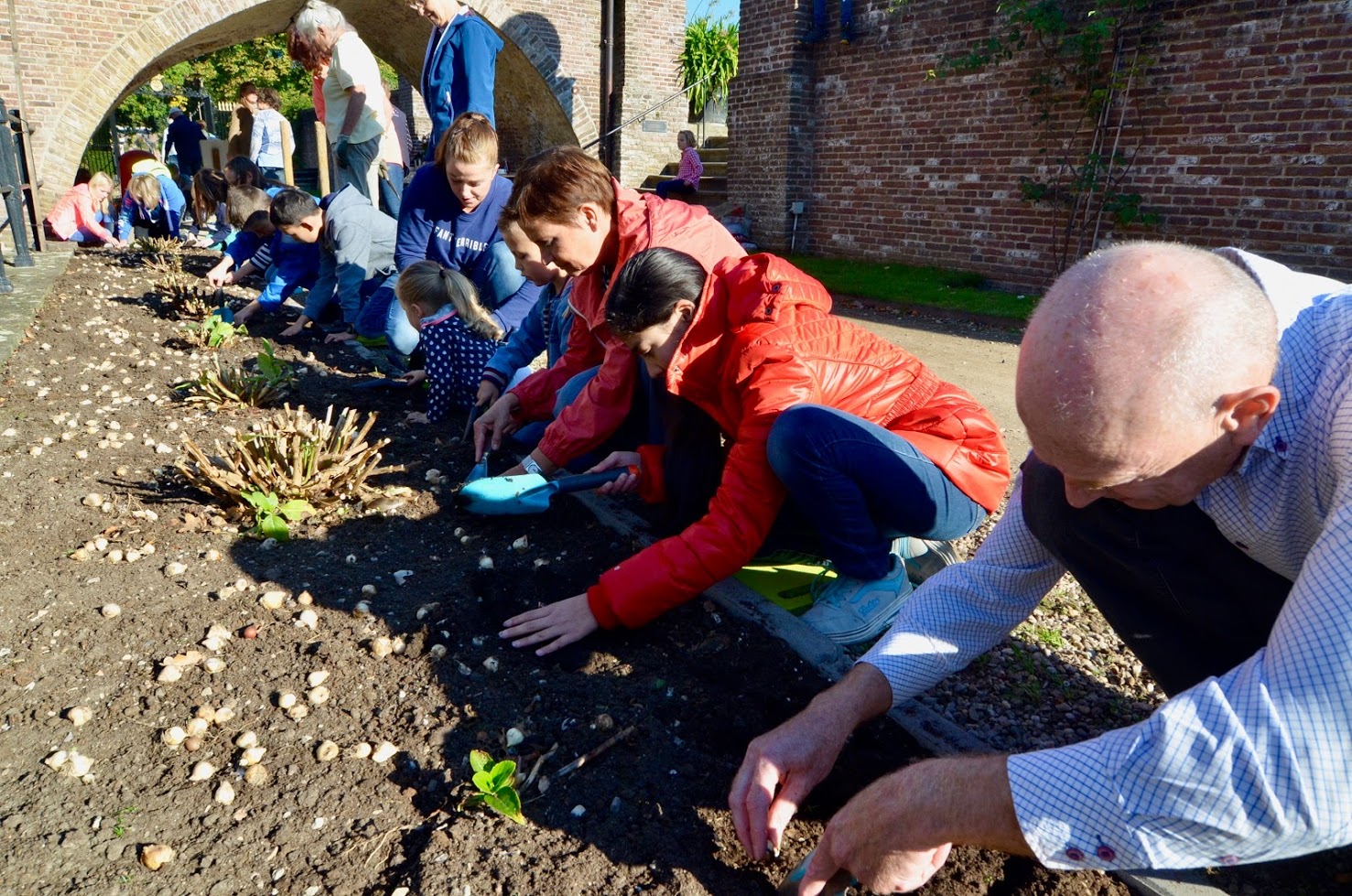 Kinderen en vrijwilligers planten voorjaarsbollen