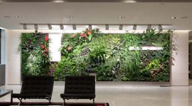 Plantenwand