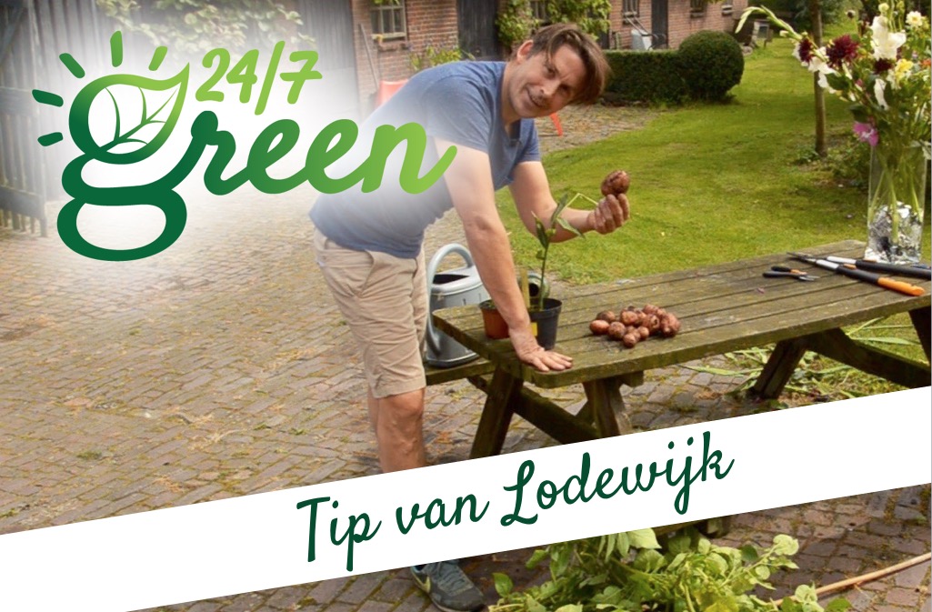 Tip van Lodewijk