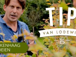 TVL- Beukenhaag.001