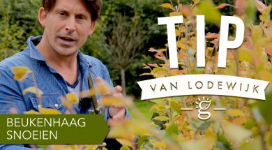 TVL- Beukenhaag.001