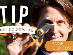 Tip van Lodewijk: Snoeigereedschap