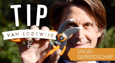 Tip van Lodewijk: Snoeigereedschap
