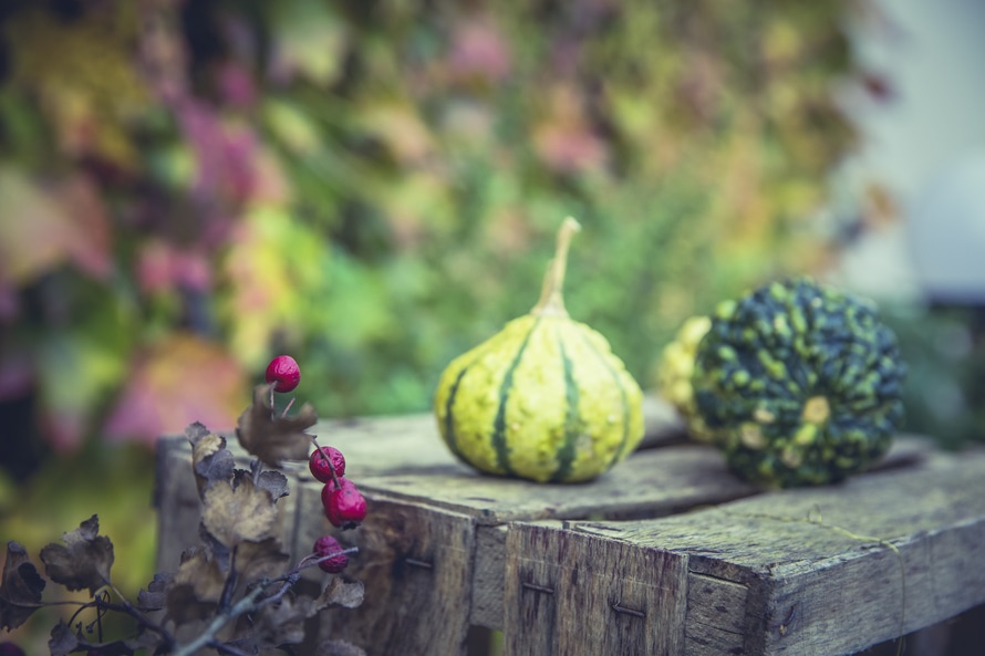 oktober-pompoenen