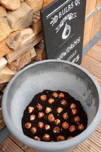Lasagnebeplanting: tulp2