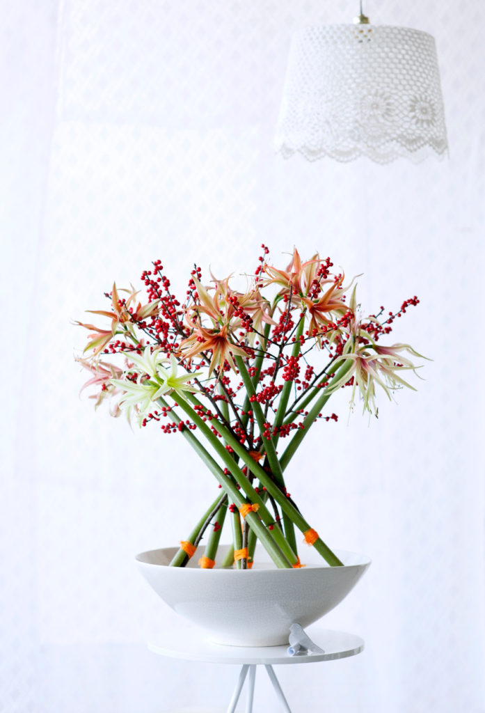 Amaryllis