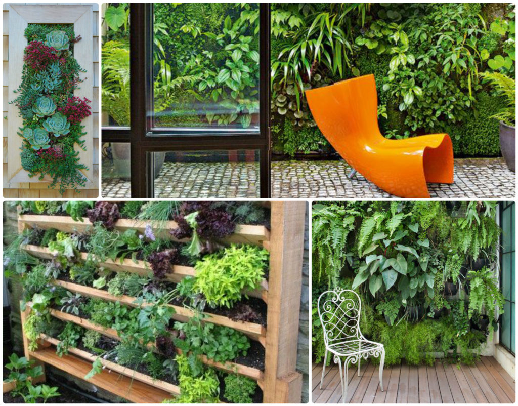 Tuintrends 2017 - Verticaal tuinieren