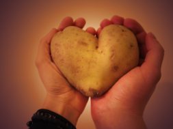 potato-hart