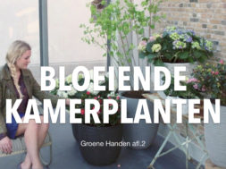 Groene Handen thumbnails YT