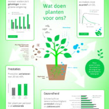 Into Green Infographic