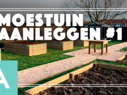 Moestuin aanleggen 1 – Angelo