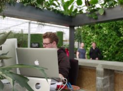 Verticaal tuinieren2