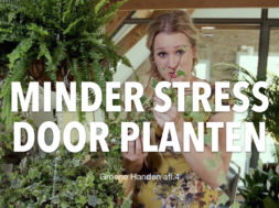 Groene Handen 4 thumbnail YT.001