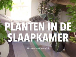 Groene Handen thumbnails YT.001