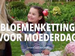 Groene Handen thumbnails YT.001