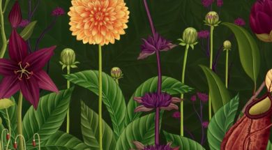 Story of Flowers