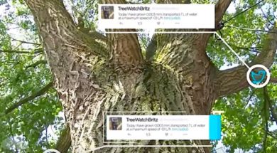 Twitterpopulier