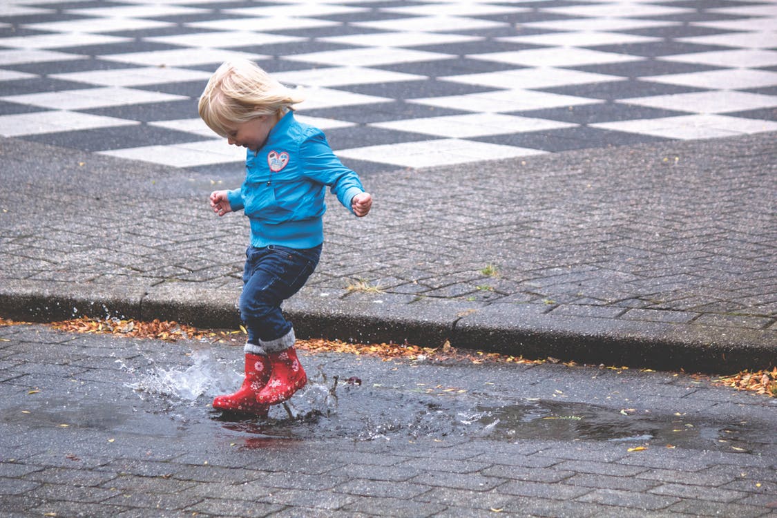 Regenwater opvangen in je tuin en overlast voorkomen