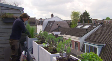 Lodewijk op balkon