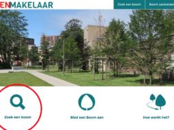 Bomenmakelaar
