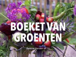 Groene Handen thumbnails YT.001