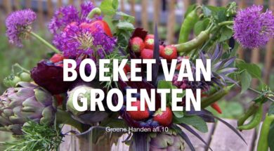 Groene Handen thumbnails YT.001