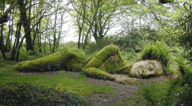 Lost Gardens of Heligan