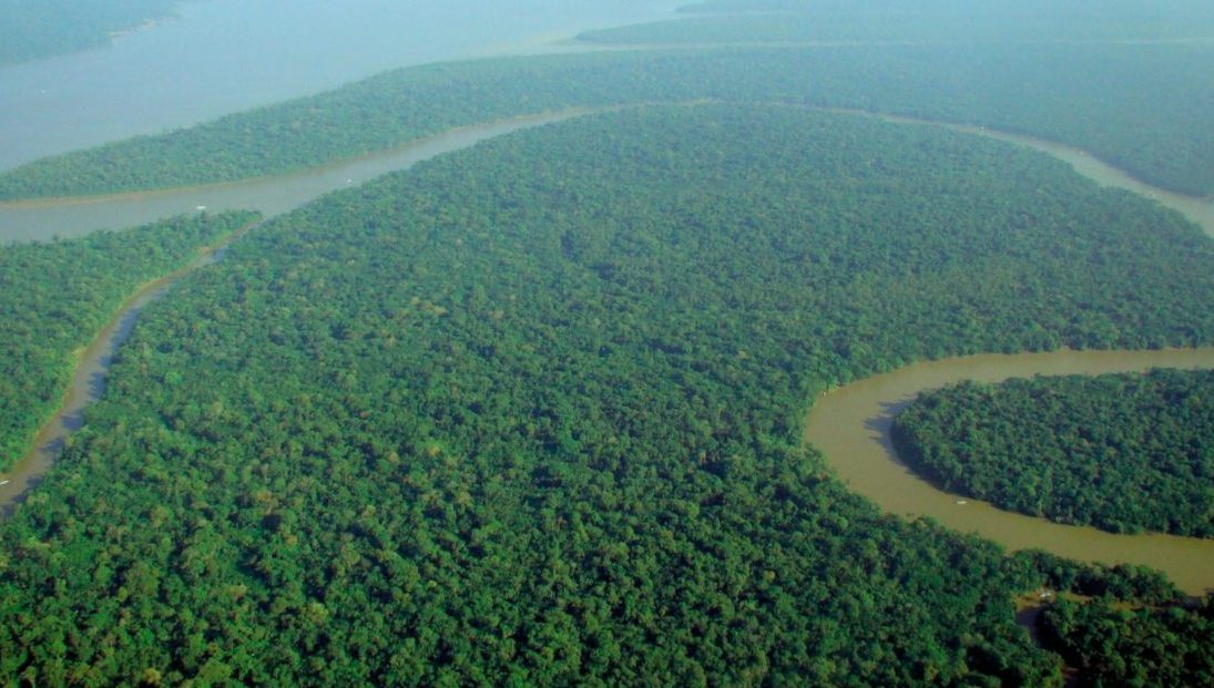 60 miljoen hectare Amazonewoud beschermd!