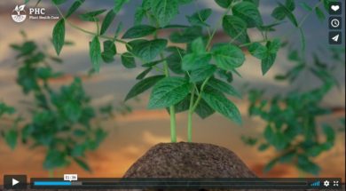 Gezonde bodm, gezonde planten