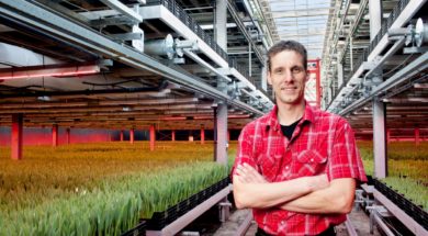 Tulpenteler Niels Kreuk