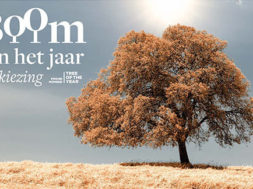 Ontwerp@1