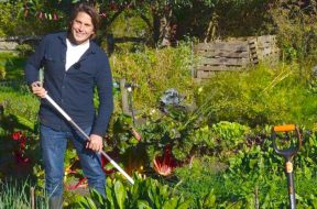 Moestuin-in-de-herfst