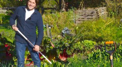 Moestuin-in-de-herfst