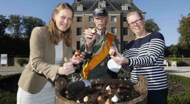 plantseizoen-bloembolen-01-883×588