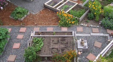 garden-509550_1920