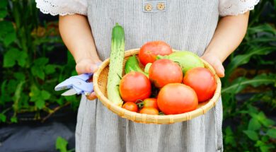 Moestuin