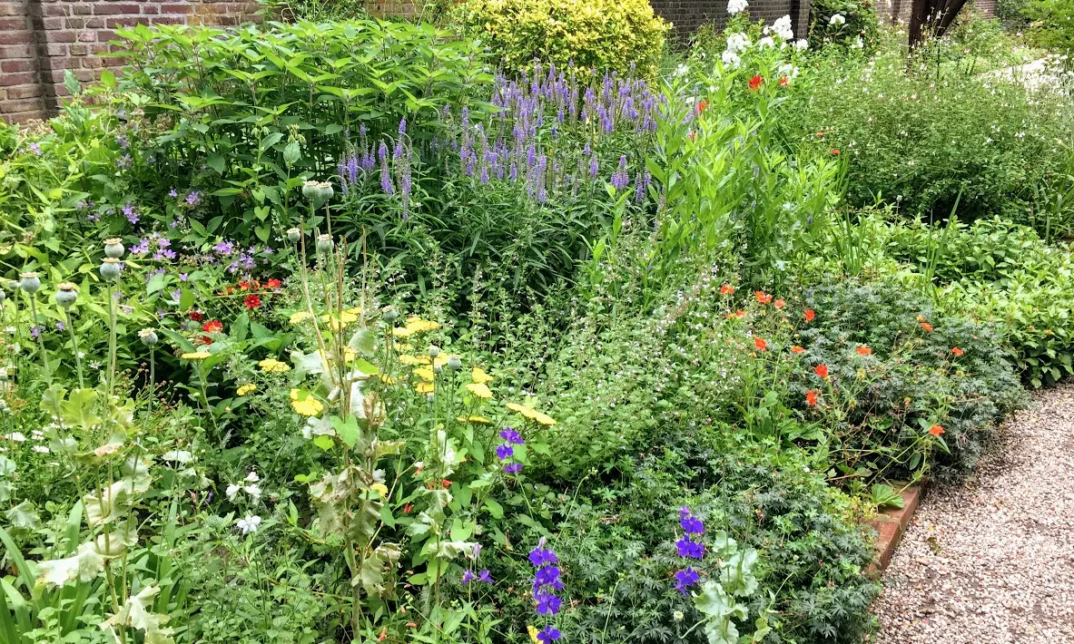 Zo maak je een mooie border voor je tuin