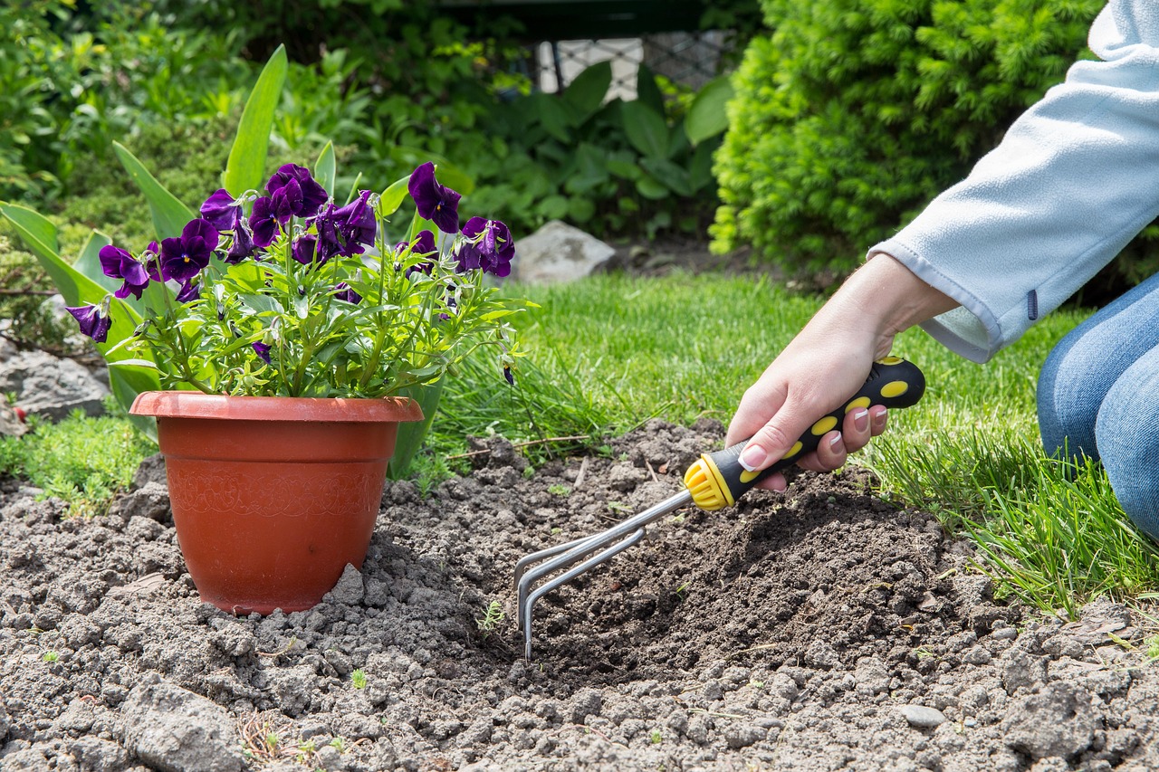 Creëer je eigen groene oase: Tips voor een ecologische stadstuin